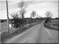 TM0491 : View north along Leys Lane by Evelyn Simak