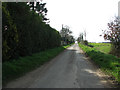 TM0491 : View south along Leys Lane by Evelyn Simak