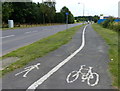 TA0422 : Cycle lane along Falkland Way by Mat Fascione
