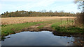 TM0392 : Crop field east of Brakehills Plantation by Evelyn Simak