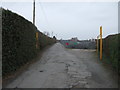 Road to allotments, Stockingford