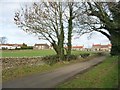 Houses at the east end of High Row, Caldwell