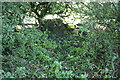 Ruined dry stone wall on south side of West Moor Lane