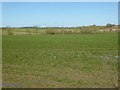 Farmland near Fulready