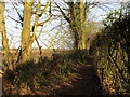 Footpath to Long Plantation