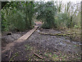 Wet area on Beeston Regis Common