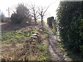 Footpath - Birch Park