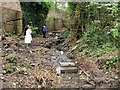 Spring-fed stream running from London Road