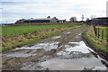 NJ7624 : Puddles on the Farm Road by Anne Burgess