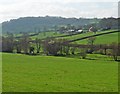 View towards Hoemoor Farm