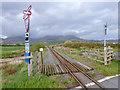 Welsh Highland Railway north of level crossing 54.67