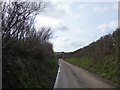 Looking along Bradwell Road between hedgebanks to Willingcott