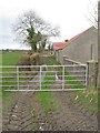 Field access lane off the Drumnahunshin Road