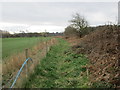 Bridleway to Thornhill Farm and Bridge Farm