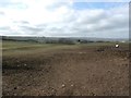 Field Overlooking Hermit House Farm