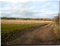 Track off Lane Head Road