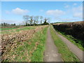 Lane to Twistgates Farm