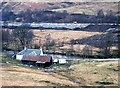 NN3521 : Derrydarroch, Glen Falloch by Alan Reid