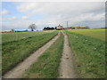 The footpath to Elvington