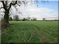 The footpath to Elvington