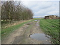 Footpath at Cheesecake Farm