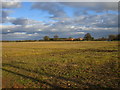 Stubble field and Whinchat Hall