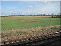 TL2165 : View from a Peterborough-London train - Fields south of Offord by Nigel Thompson