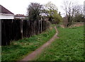 Track on a bank of Nant Coch, Newport