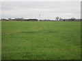 Footpath to Wheldrake