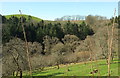 Valley below Pen Well Hill