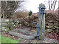 SH4939 : Water pump and stone trough opposite Gell Farm by John S Turner
