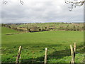 View West across the Black Water valley