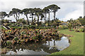 Gyllyngdune Gardens, Falmouth, Cornwall