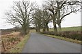 Minor road near Dalcrue