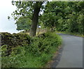 Banks Lane climbing towards The Height