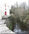 Carrickananny River flowing past St Brigid