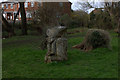 Carved tree trunk by Strand Water