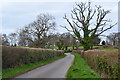 Church Lane, Durley