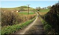 Lane past Corfe Farm