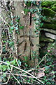 SP2709 : Benchmark on wooden gatepost near Stonelands by Roger Templeman