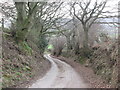 Red Way descending towards Lawns Road