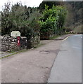 Postbox in a Tintern wall