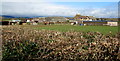 Parc Newydd Farm north of Porthcawl