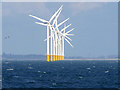 SD1502 : Offshore Wind Turbines, Liverpool Bay by David Dixon