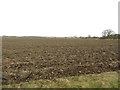 Ploughed field off Linton Lane