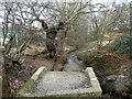 Stream emerging from culvert