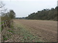 A field on the floodplain