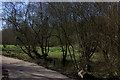 Nature reserve along old railway path