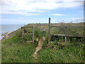 T1411 : Stile on South Wexford Coastal Path by David Dixon