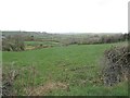 Bocage landscape between the Carrowmannan Road and Carrickgallogly Road